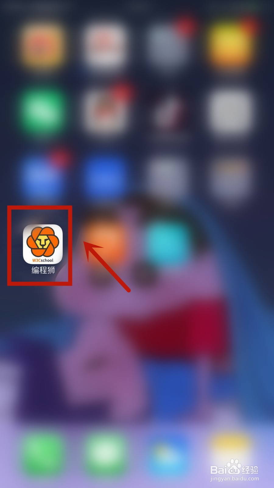 怎么查看自己在编程狮中获得的勋章
