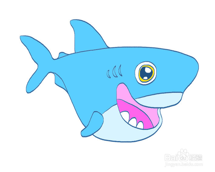 简单鲨鱼的画法