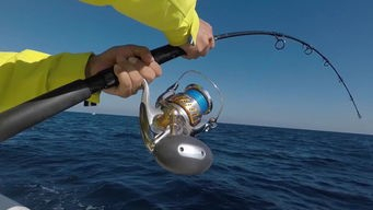 沙虫子钓鱼怎么看漂