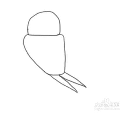 如何简单地绘制燕子