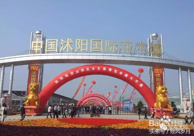 带你细数那些年沭阳有什么