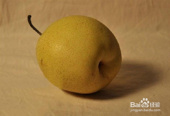 梨子的结构素描和明暗素描(图文)