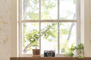 白塞氏病饮食注意事项