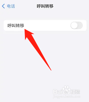 iPhone如何设置电话呼叫转移