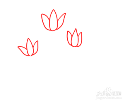 如何简单地画仙客来