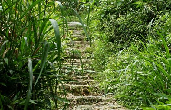 幽径的幽是什么意思