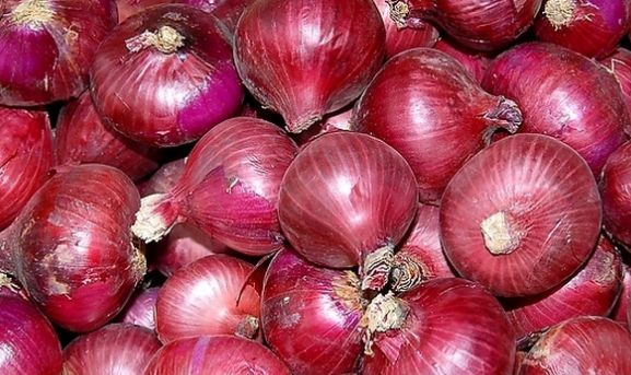 头屑多,有必要用康王吗