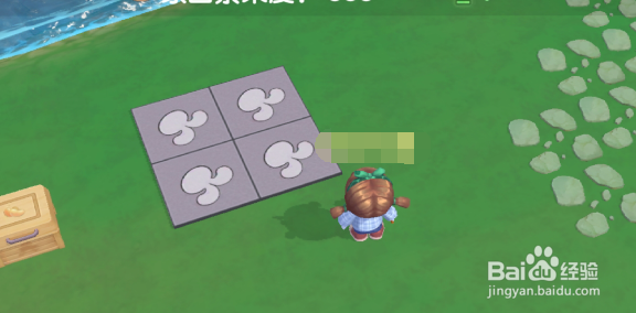 摩尔庄园怎么让白鲸飞天