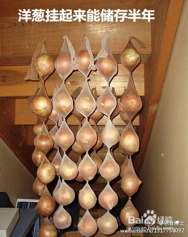 几种蔬菜水果的储存技能