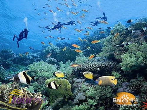 三亚旅游攻略 暖冬游