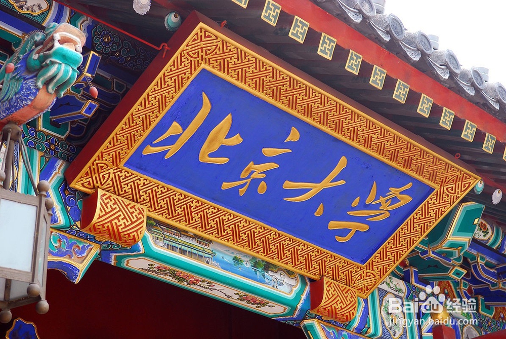 高考志愿应该怎样填报