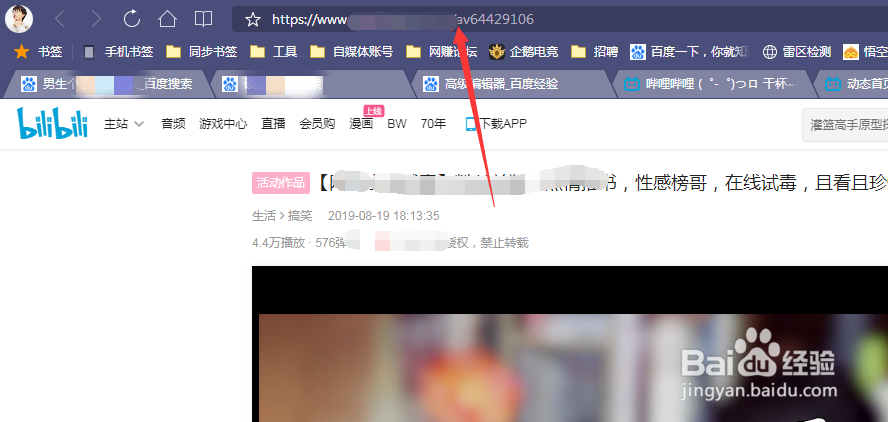 如何在电脑上下载哔哩哔哩的视频
