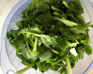 猪肚菌炒鸡毛菜