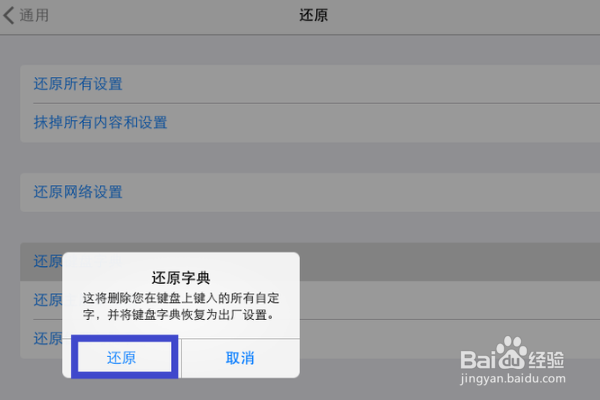 ipad打字不显示中文字