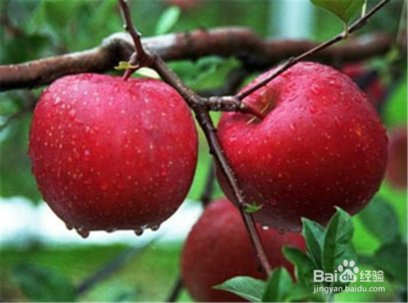 健康有效而且不反弹的减肥方法有哪些呢?