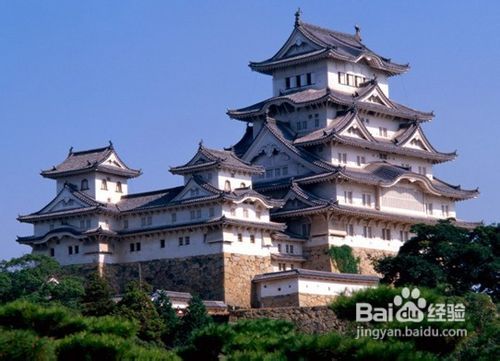 清明节出境游—日本之旅