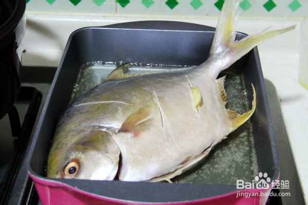 怎么烧都很爱吃的金鲳鱼