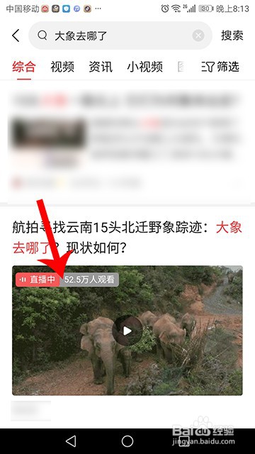 云南大象走到哪里了 直播在哪看