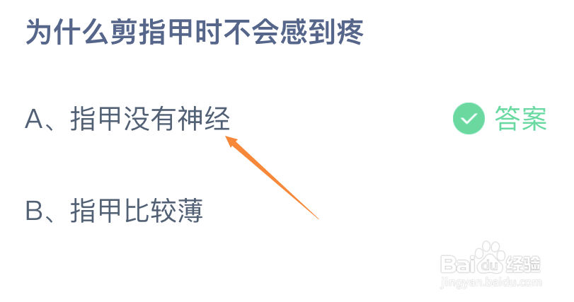 为什么剪指甲时不会感到疼