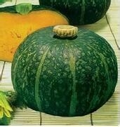 金香栗南瓜的功能和效果