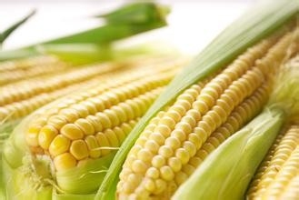 哪些食物一定不能共食(那些你不知道的秘密九)