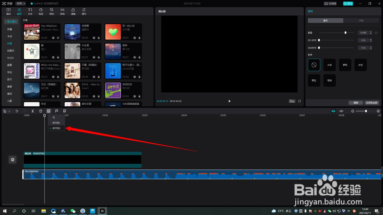 剪映专业版如何使用自动踩节拍功能踩点