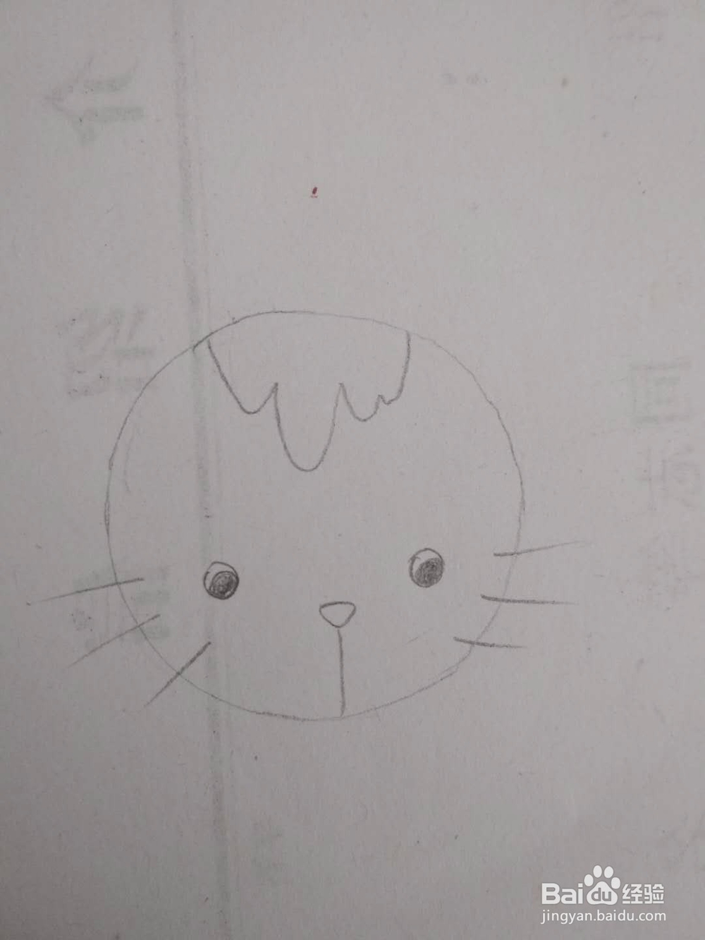 多妈简笔画小动物一只简单的小猫