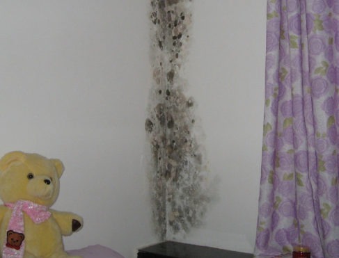 墙壁起霉该怎么处理