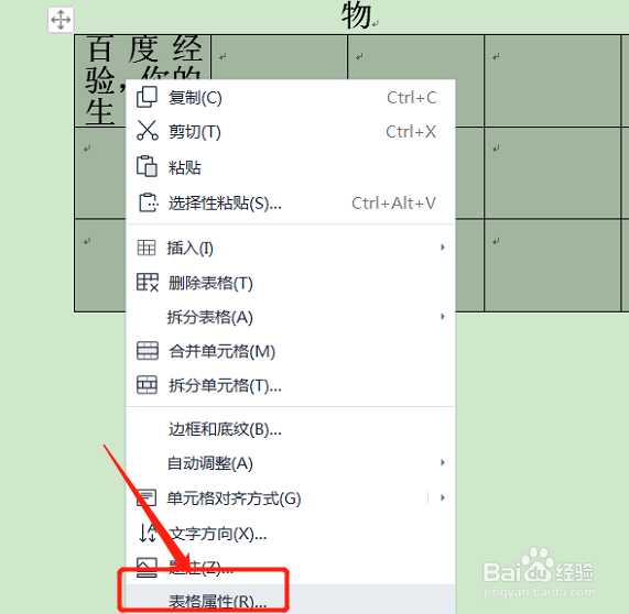 wps表格文字显示一半