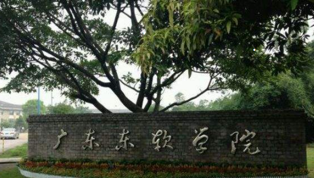 广东东软学院是211吗