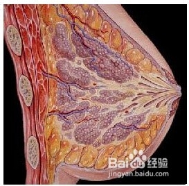 乳腺癌化疗后呕吐怎么办怎么治疗呢