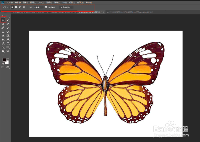 ps中套索工具的抠图技巧