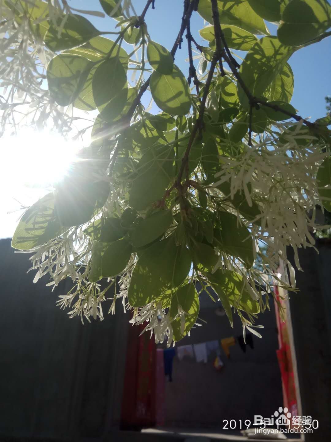 绿色旅游地推荐