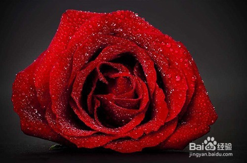 Selina给身体排毒的食物方法有哪些？