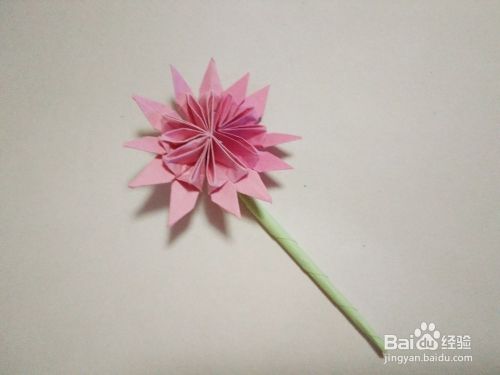 粉嫩的十二瓣立体纸花的折纸方法 百度经验 粉嫩的十二瓣立体纸花的折纸方法 百度经验