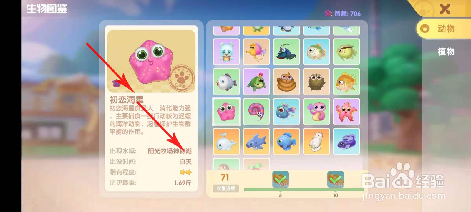 摩尔庄园月亮海螺前面是什么鱼