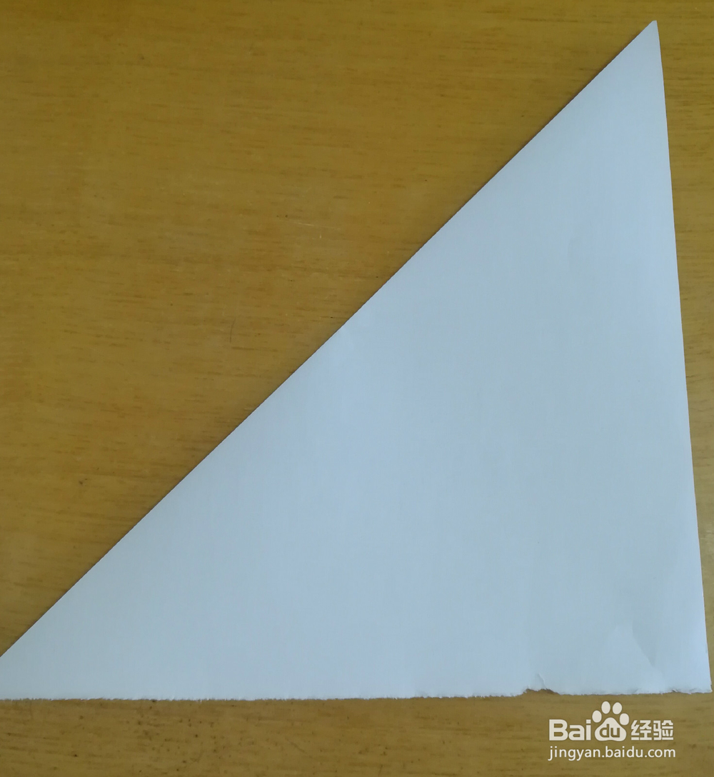 四角折剪——娃娃蟹