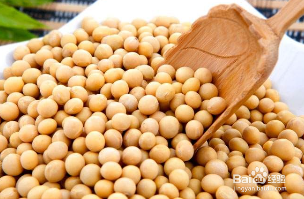 不适合和虾一块食用的食物有哪些?