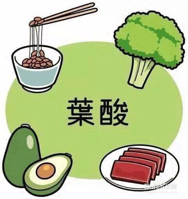 叶酸对人体都有哪些益处