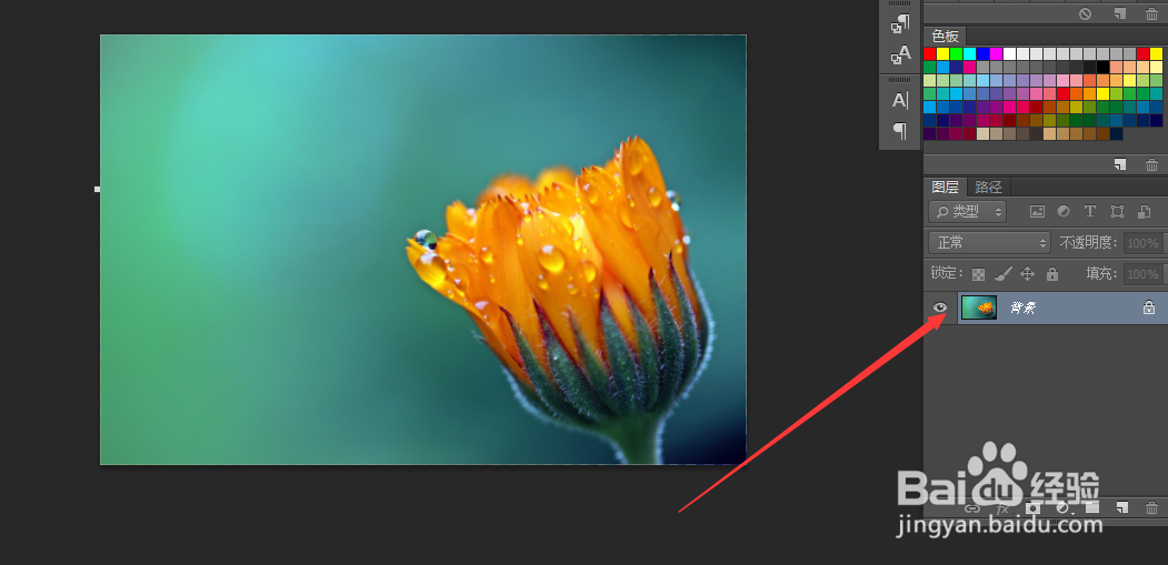 PS将图片进行旋转扭曲