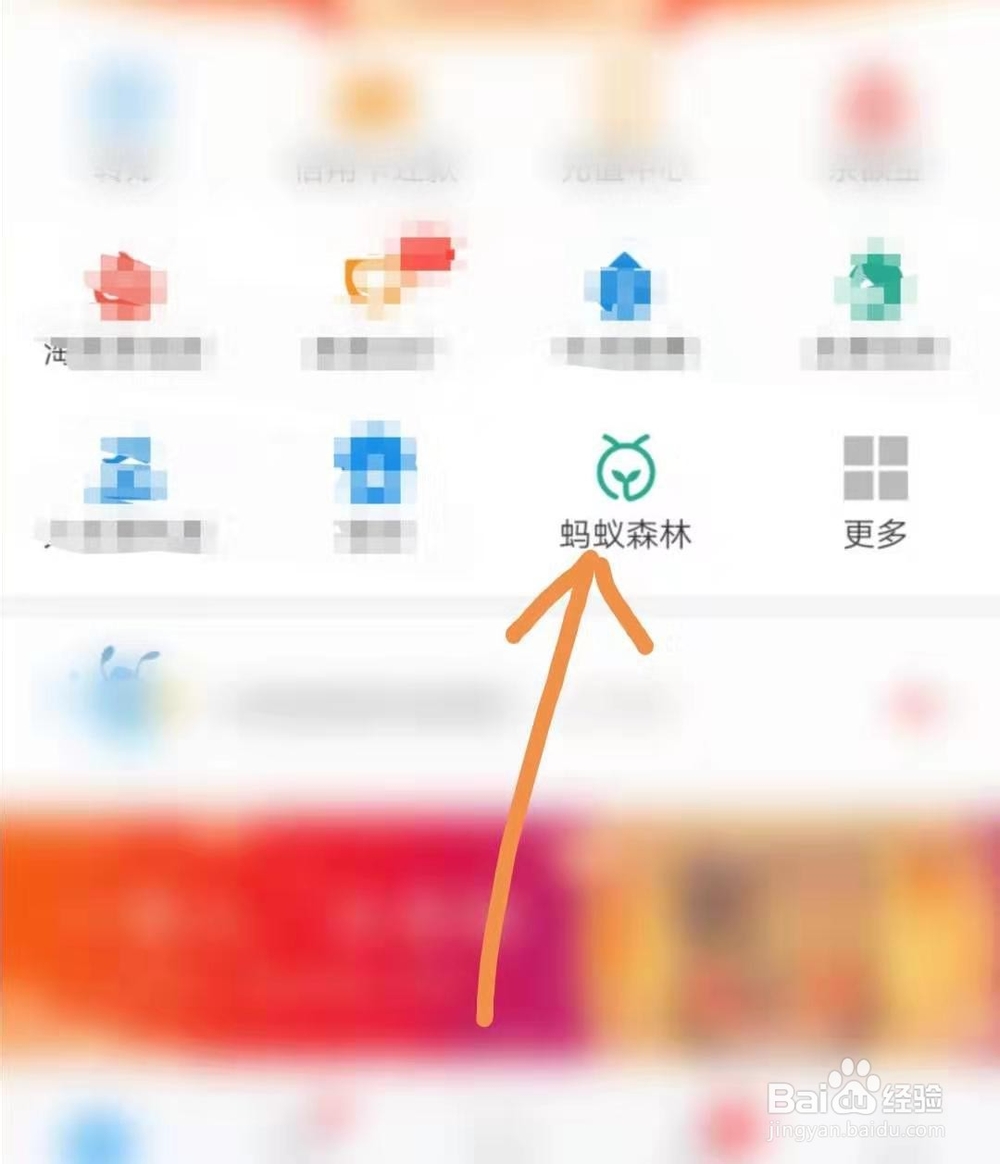 蚂蚁森林福寿保护地如何参加