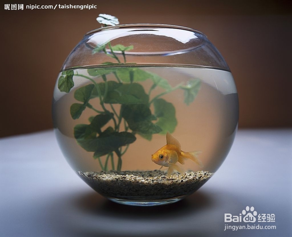 如何缓解空调房里的干燥症