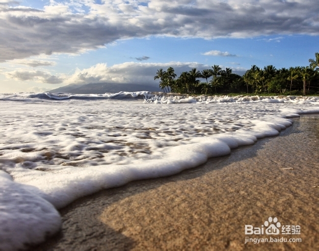 Scott Mead：海滩摄影