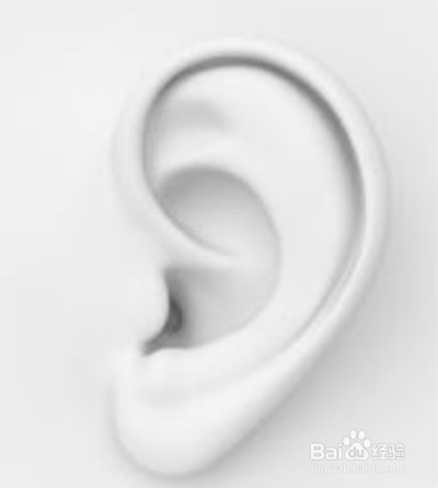 四季养生与五脏：[5]冬固肾