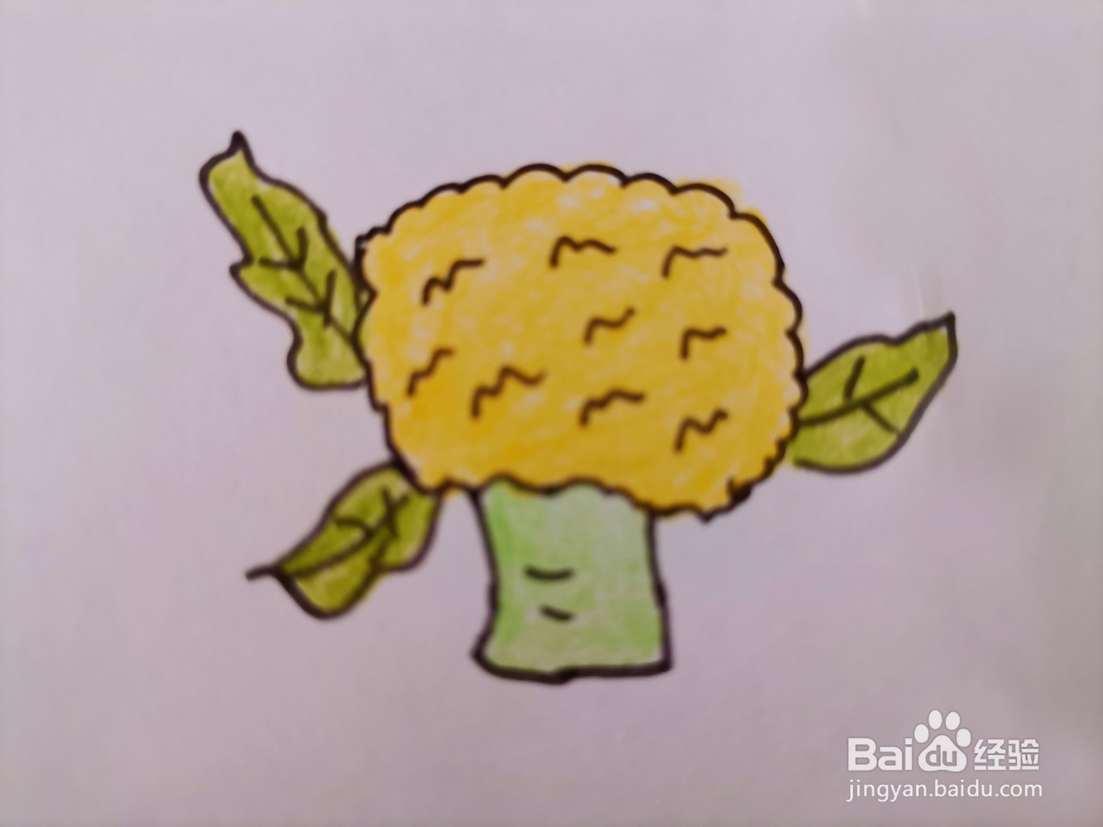 儿童简笔画 一棵花椰菜