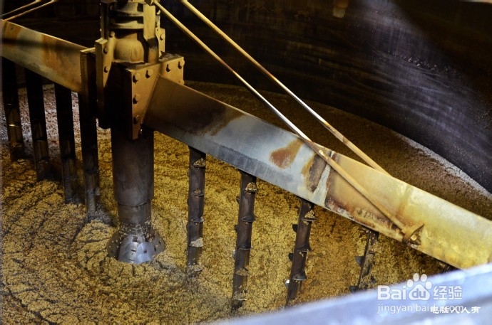 英国游记：[1]富庶之城阿伯丁·酒香满溢