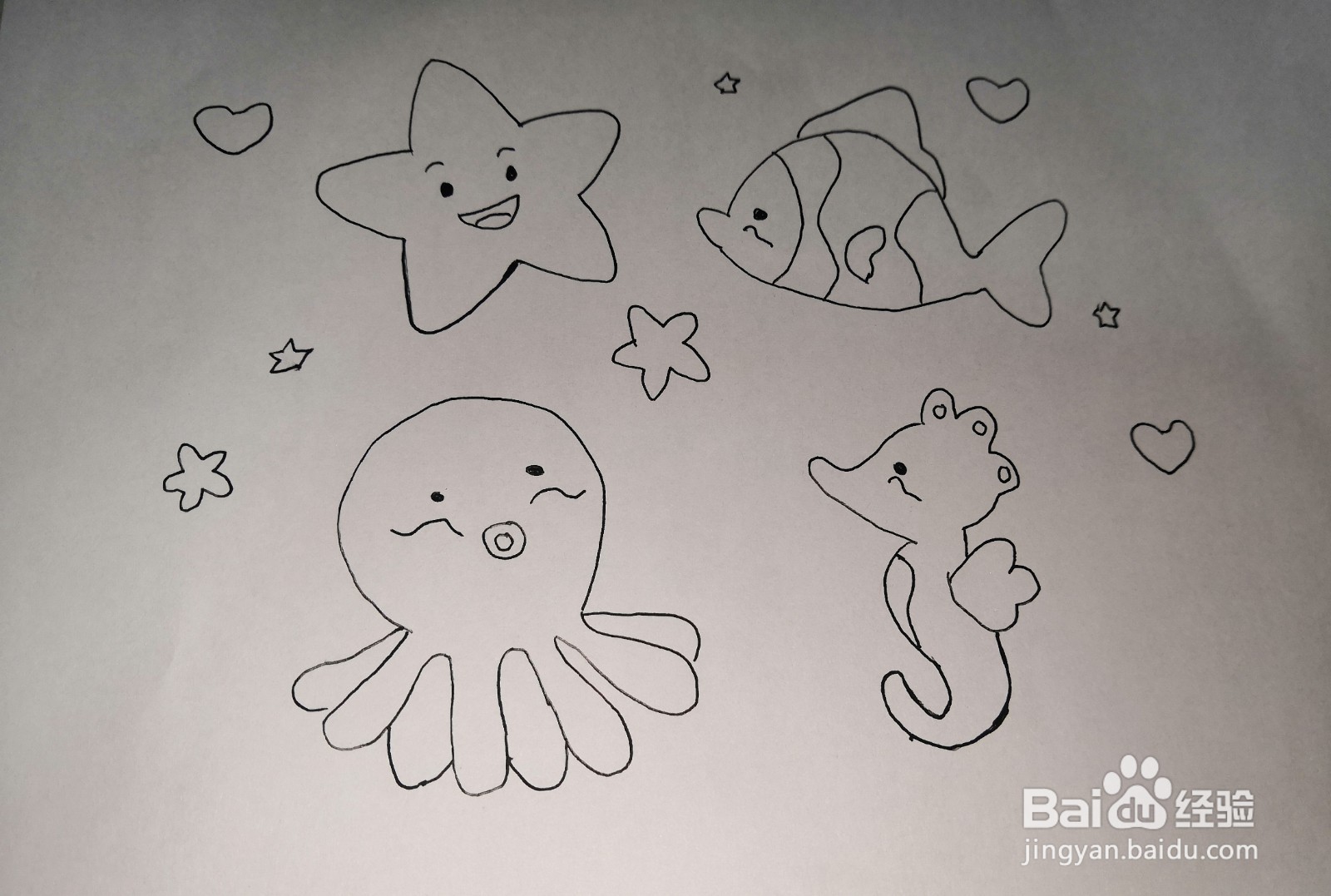 海洋生物简笔画彩色