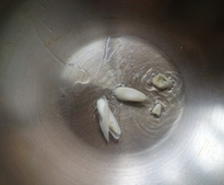 “神奇的骨汤包