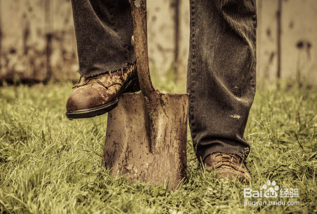 扫墓注意事项是什么