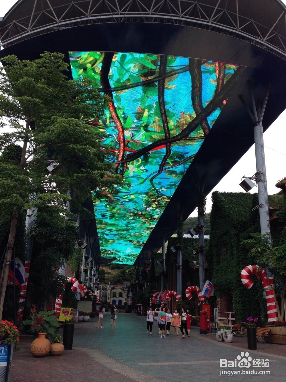 深圳东部华侨城两天一夜游